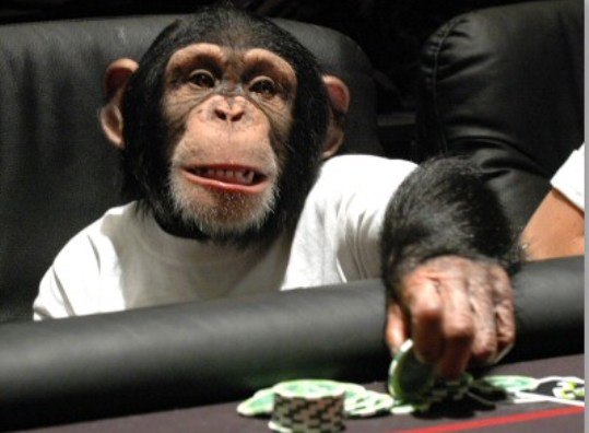 Как блефовать телефона