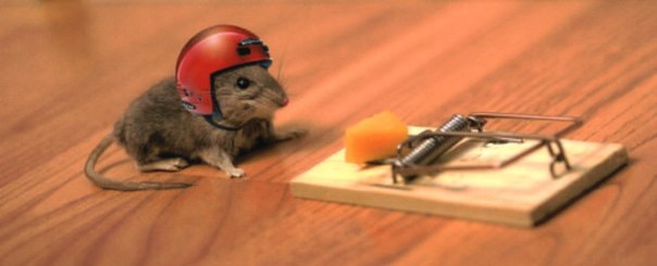 Что лучше для турнирного покера: ожидание или наращивание стека