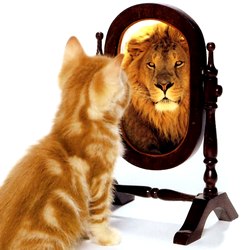 Не позволяйте вашему эго управлять вами