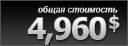 общая стоимость 4960$