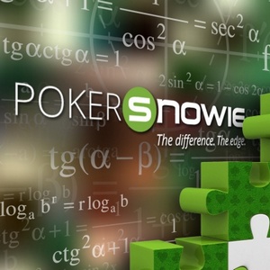 PokerSnowie - софт для развития вашего покерного мастерства
