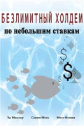 Безлимитный холдем по небольшим ставкам. Авторы: Эд Миллер, Санни Мета, Мэтт Флинн